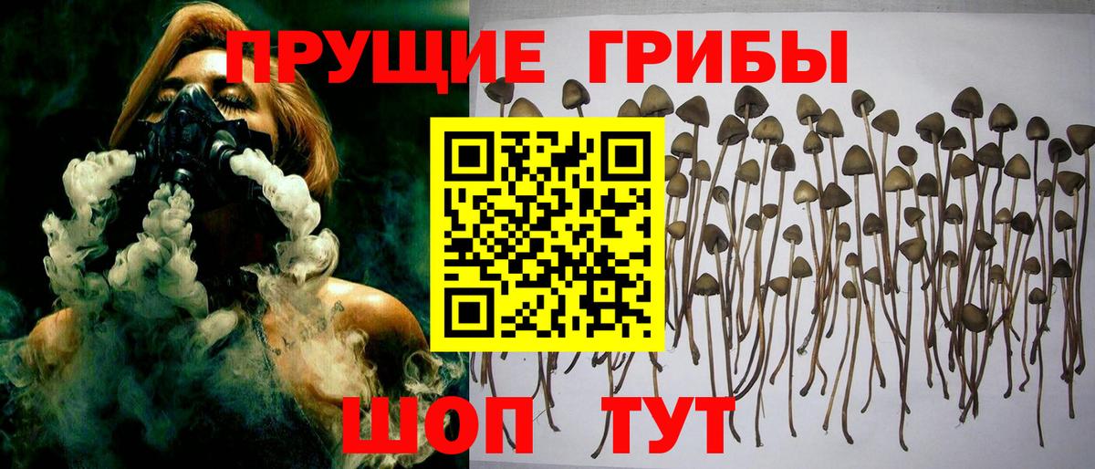 Галлюциногенные грибы ЛСД Борисоглебск