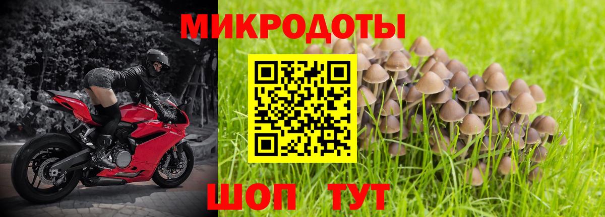 Борисоглебск  Галлюциногенные грибы Psilocybine cubensis  Вход с VPN 
